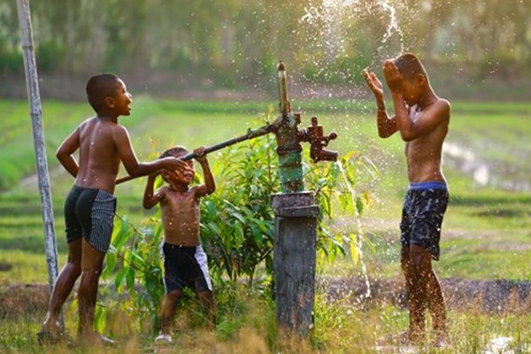 Sue Winspear replaces Garnet Harrison on AOA Board