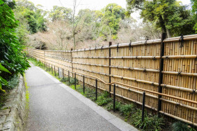Privacy Fences