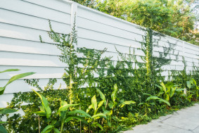 Vinyl Fencing