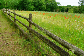 Farm / Agricultural Fencing