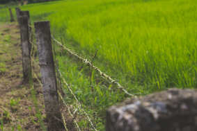 Farm / Agricultural Fencing