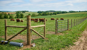 Farm / Agricultural Fencing