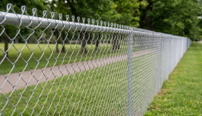 Perimeter Fencing