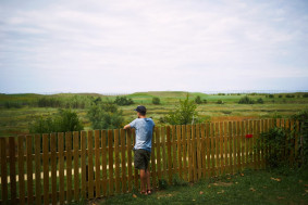 Wood